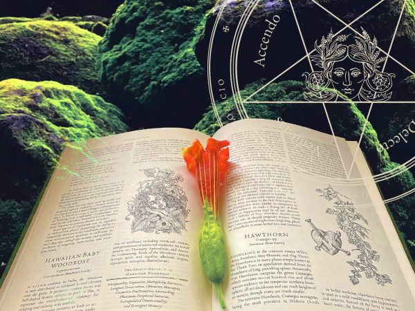 <i>The Green Mysteries</i> Arrives March 21